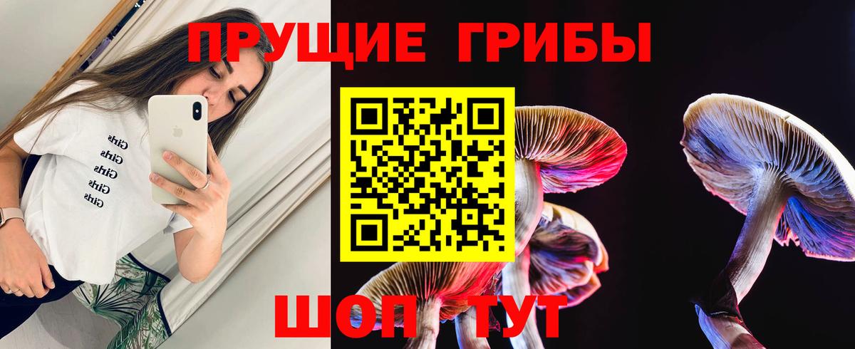 Галлюциногенные грибы прущие грибы  Вход с VPN  Самара 